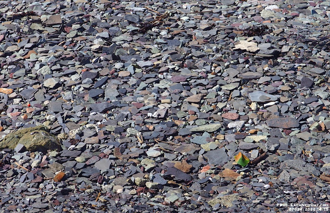 67024CrLe - Walking on the shale and slate on Blue Beach at low tide, Hantsport, NS